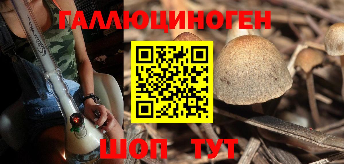 Галлюциногенные грибы Psilocybine cubensis Нижнекамск